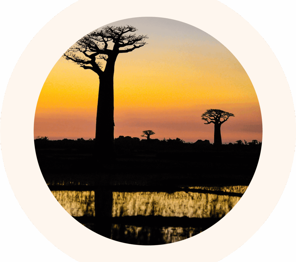 Isalo Rock Lodge tourism